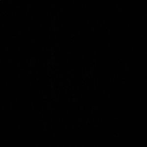 Meet your Posher, Yelda